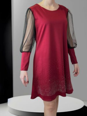 Elegant Dress με Strass Λεπτομέρειες & Διαφανή Μανίκια