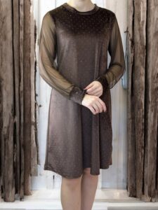 Sparkle Βελούδινο Φόρεμα με Διαφάνεια