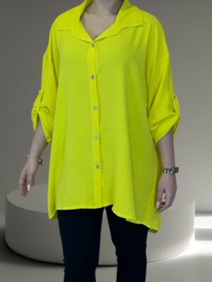 Κομψό πουκάμισο με πλισέ λεπτομέρεια πίσω