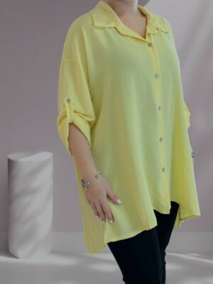 Κομψό πουκάμισο με πλισέ λεπτομέρεια πίσω